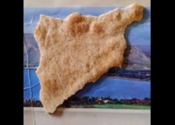 رغيفٌ واحد، وطنٌ كامل